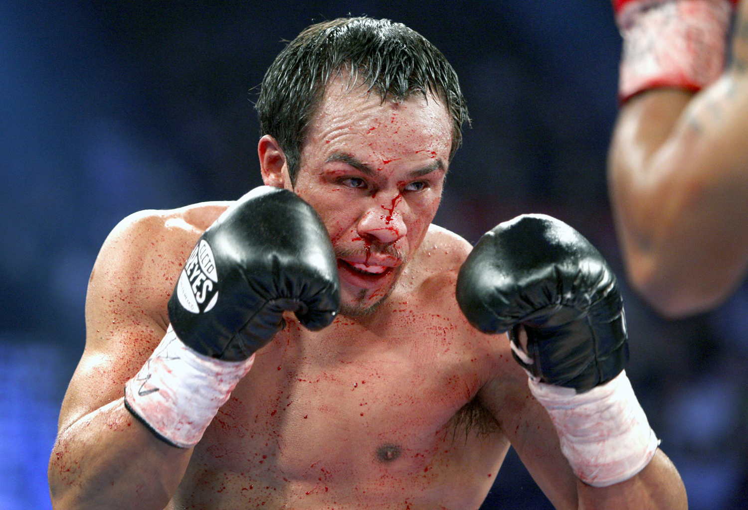 Ferocious fight ends in a knockout: Marquez v. Pacquiao, image size:1500x1024