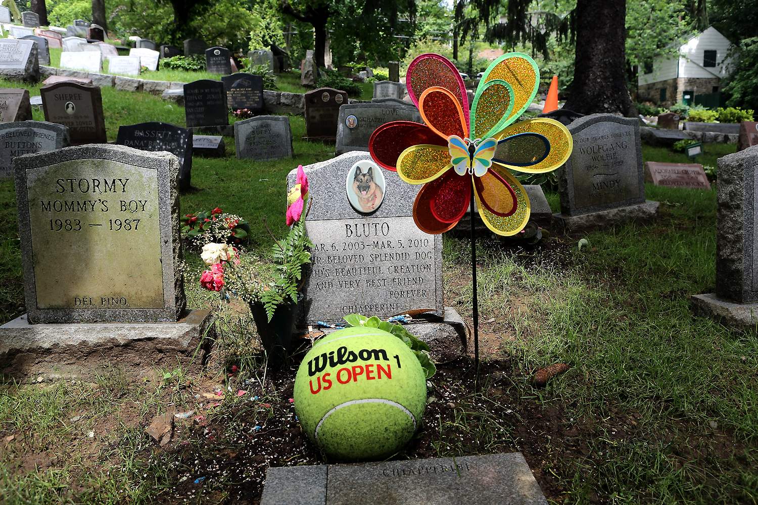 Oldest pet cemetery in US is final resting place for thousands of