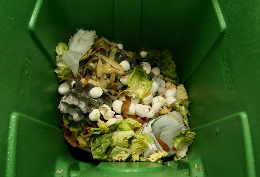 Can You Compost Cheese? (And Cheese Wax?) - Conserve Energy Future