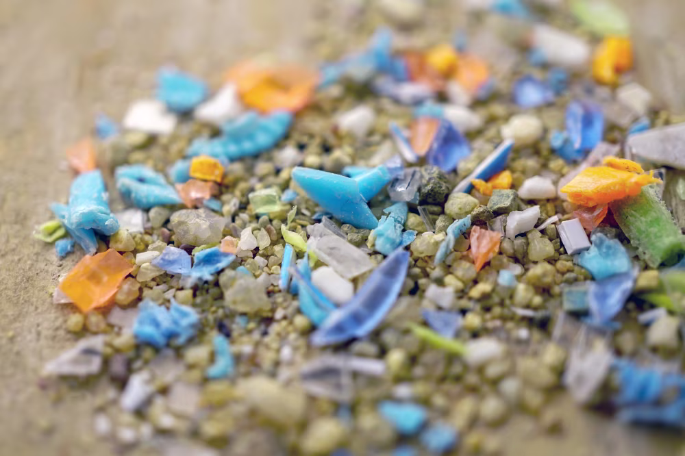 How exactly do microplastics damage the body? New research offers an answer
