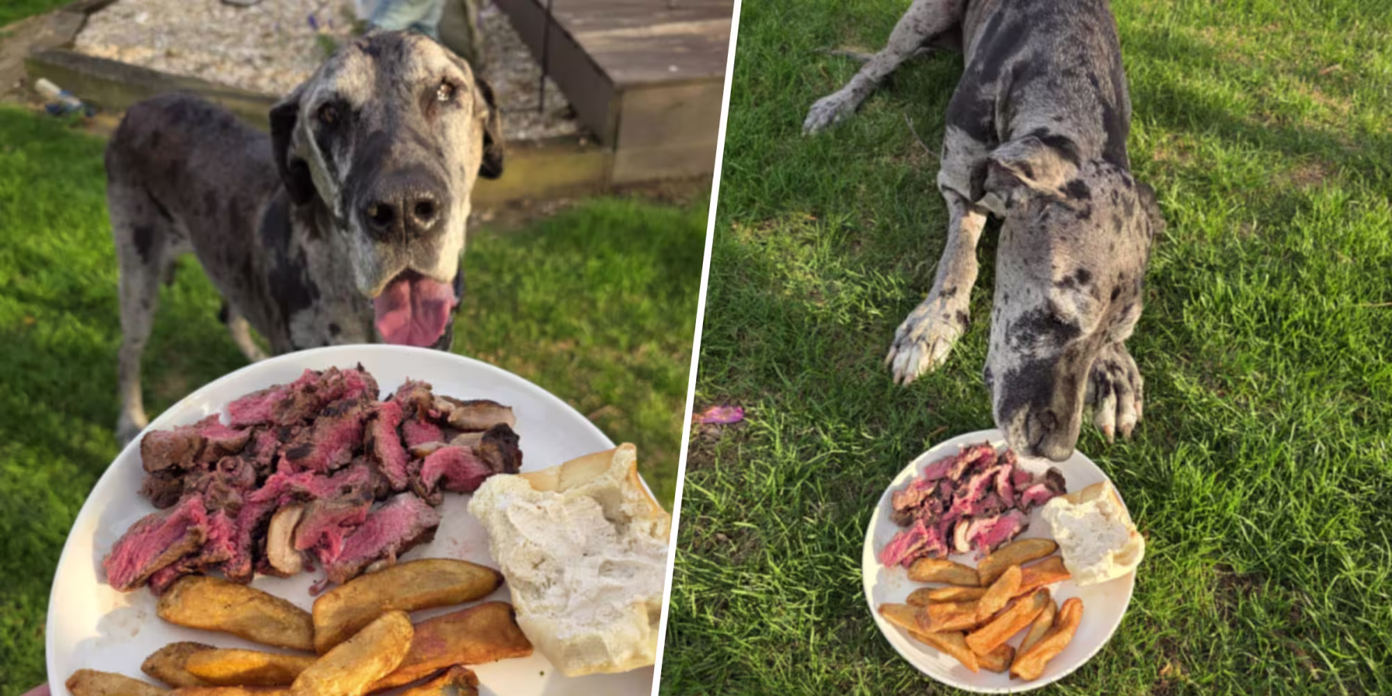 Texas Roadhouse Fulfills Customer's Special Request — His Dog's Last Meal