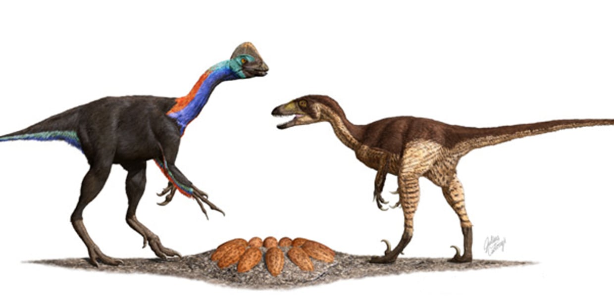 Are Birds Dinosaurs? Looking Into the Dino-Dominated Past
