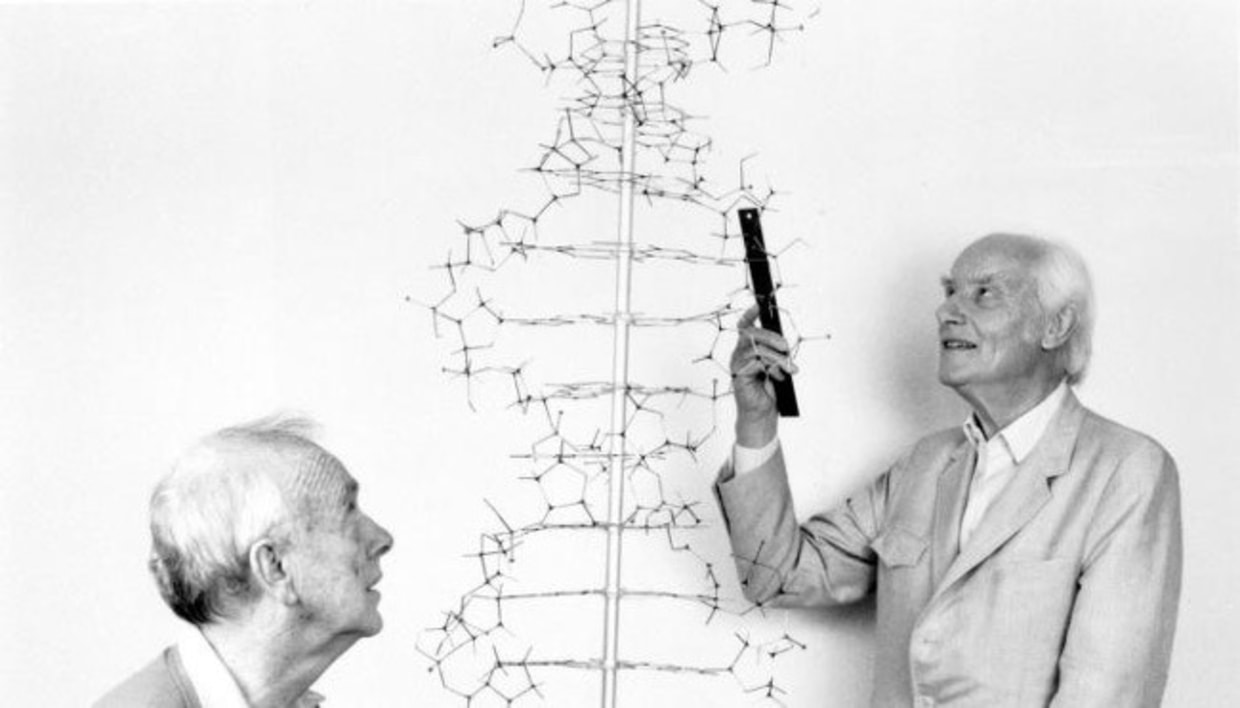 DNA Biology Watson & Crick Gift Biologist Francis Crick Art Great Scientist Double Helix James Watson Print Poster