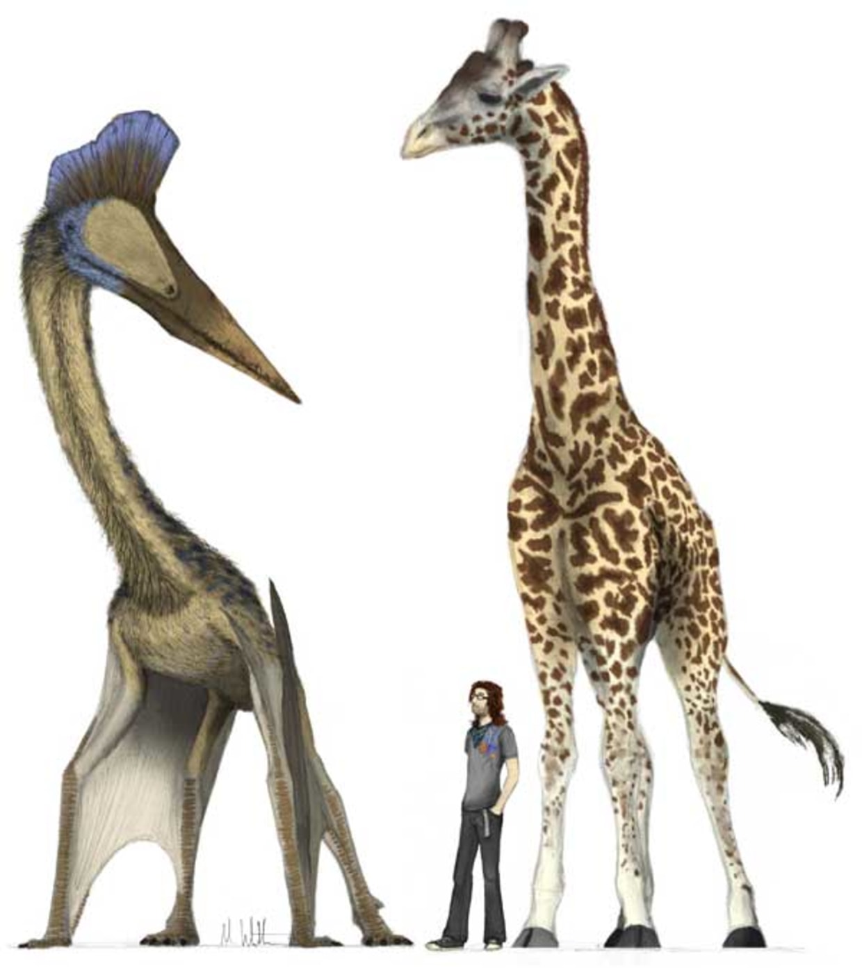 Giraffe-sized flying reptiles once soared over Alberta