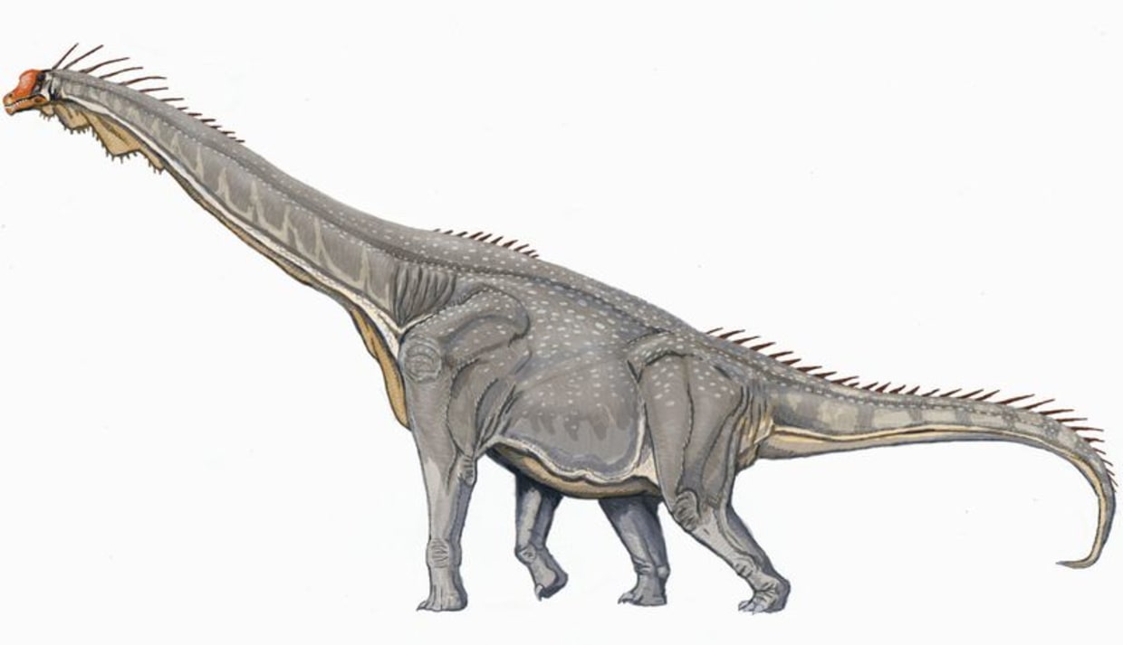 So How You Move With A 30 Foot Long Neck