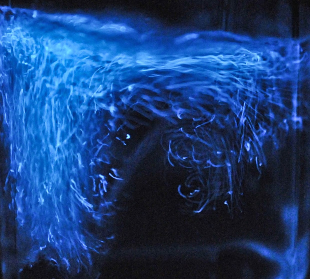 Why Bioluminescence Evolved to Be Red Light, and Blue