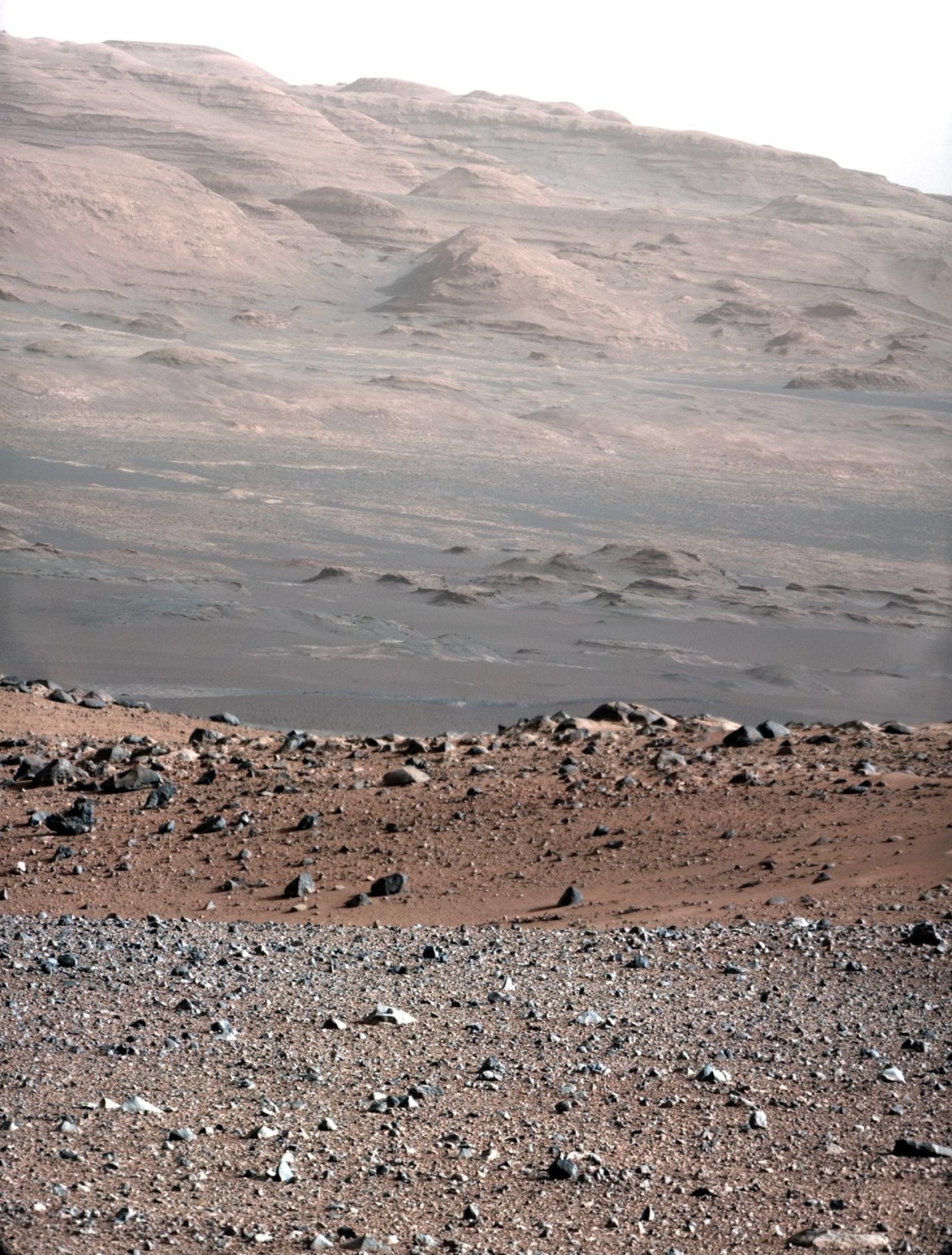 Mars rover sends first human voice from Red Planet, image size:1240x1634