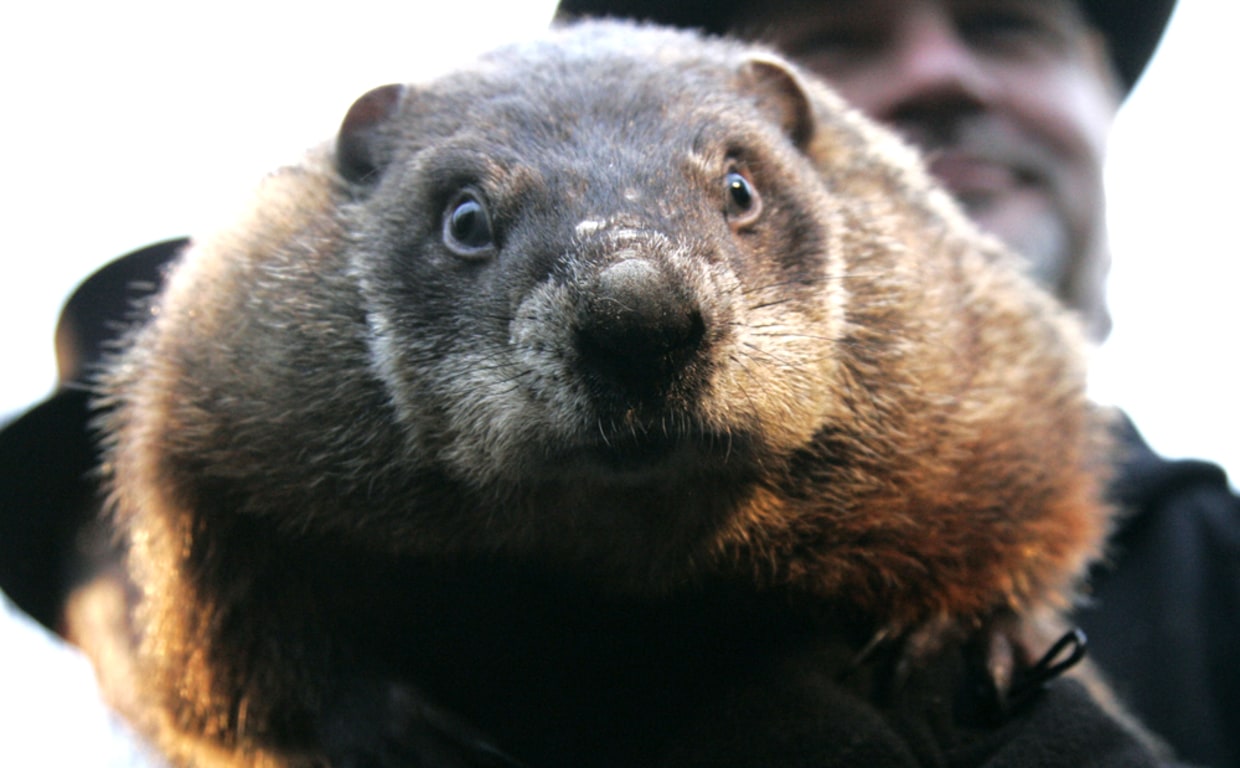 The real deal behind Punxsutawney Phil