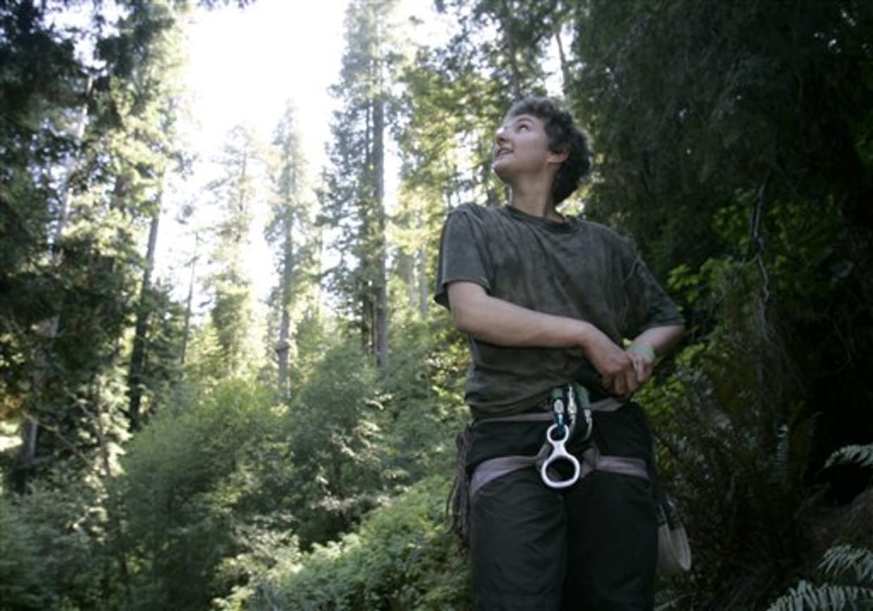 Declaring victory, tree-sitters leave redwoods, image size:1240x867
