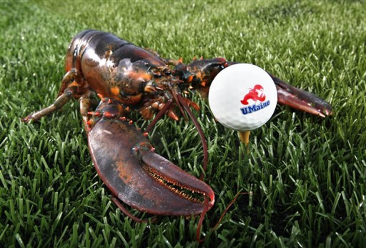 https://media-cldnry.s-nbcnews.com/image/upload/t_fit-1240w,f_auto,q_auto:best/ap/lobster%20golf%20balls-2022307522_v2.jpg