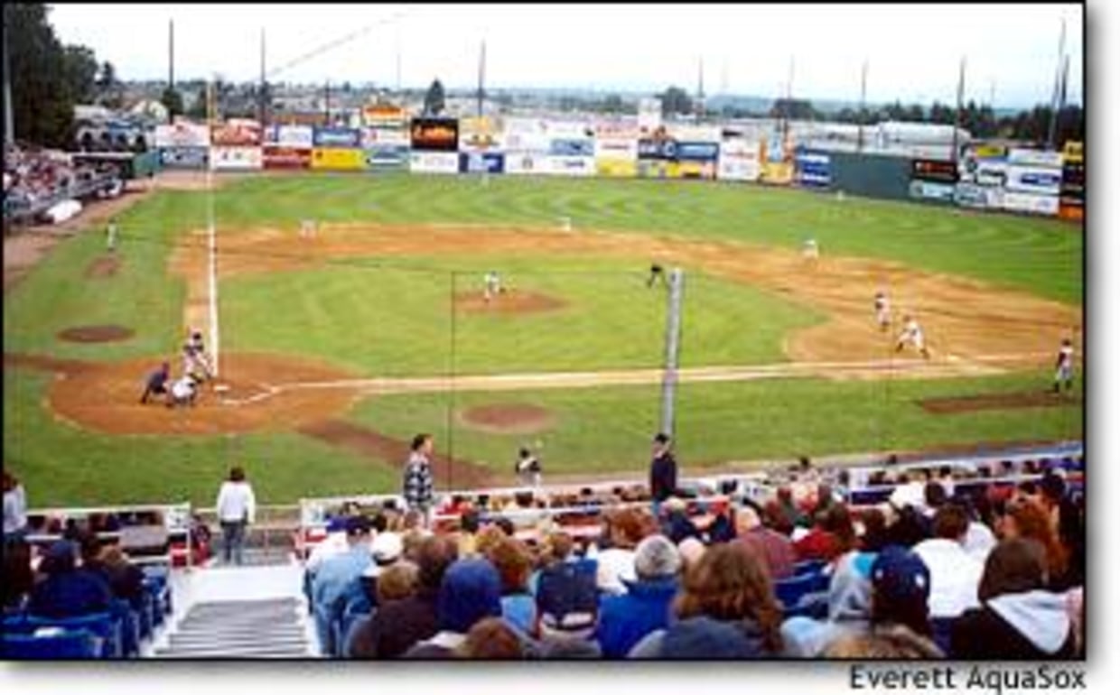 Everett AquaSox Baseball: Awesome, Affordable Family Fun