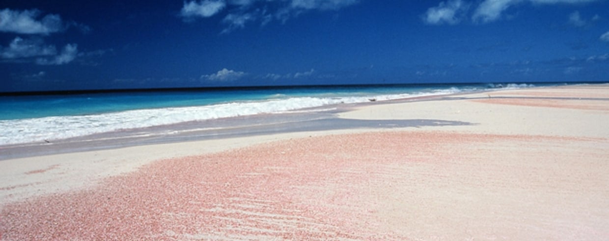 Hawaii Pink Sand Bahamas Sunset Beach : Rainbow Beaches You Have To See ...
