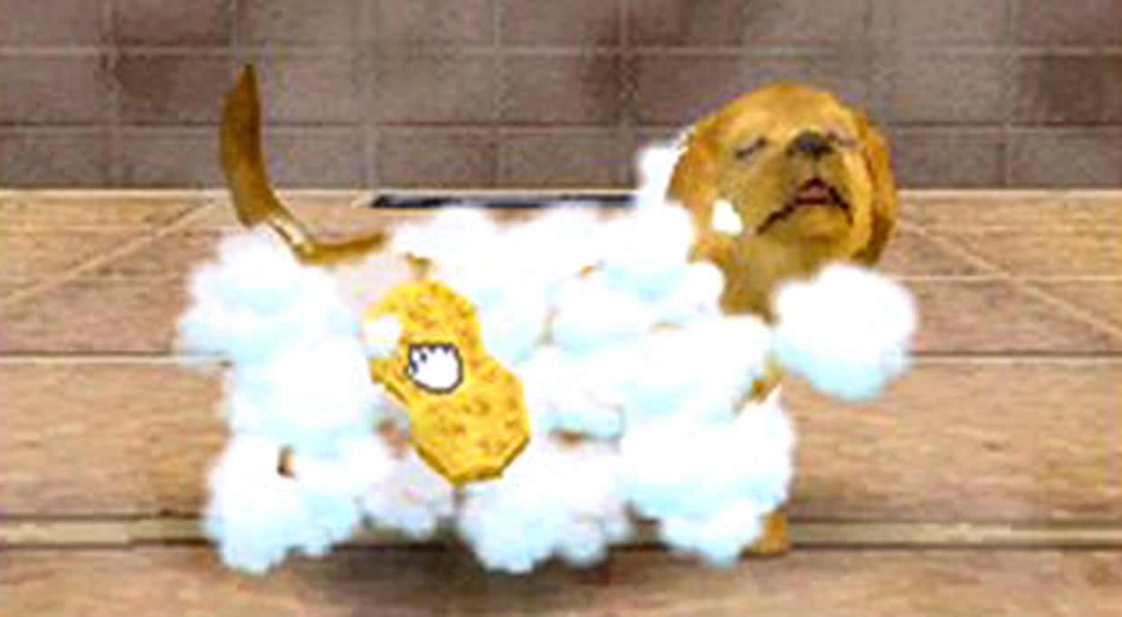 Nintendogs frisbee store