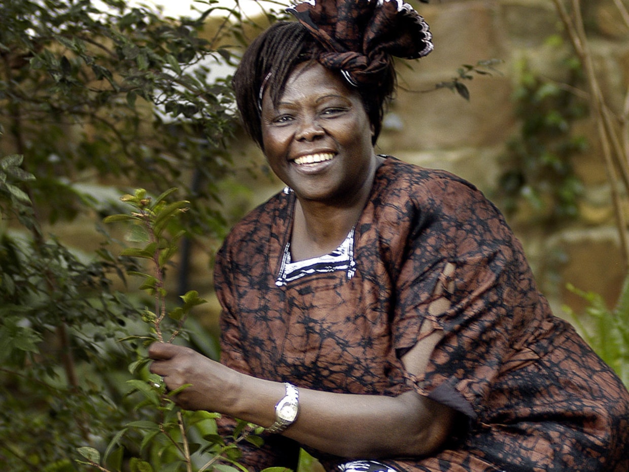 Surprising Facts About kenya-The primary African lady to win a Nobel harmony prize was Kenyan