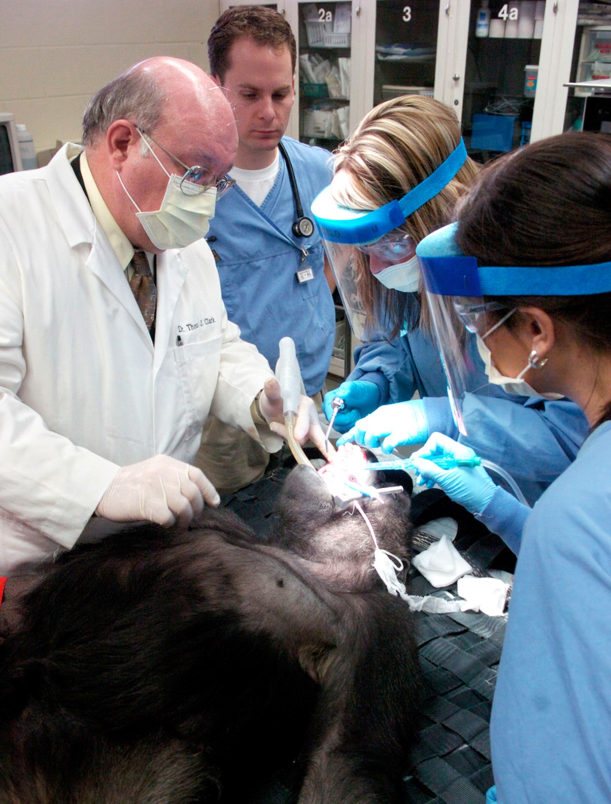 University of Louisville - School of Dentistry Renewal