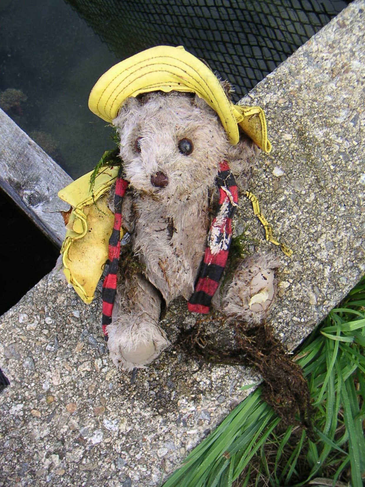 Dressed (Not) to Kill: Teddy Bear Coat