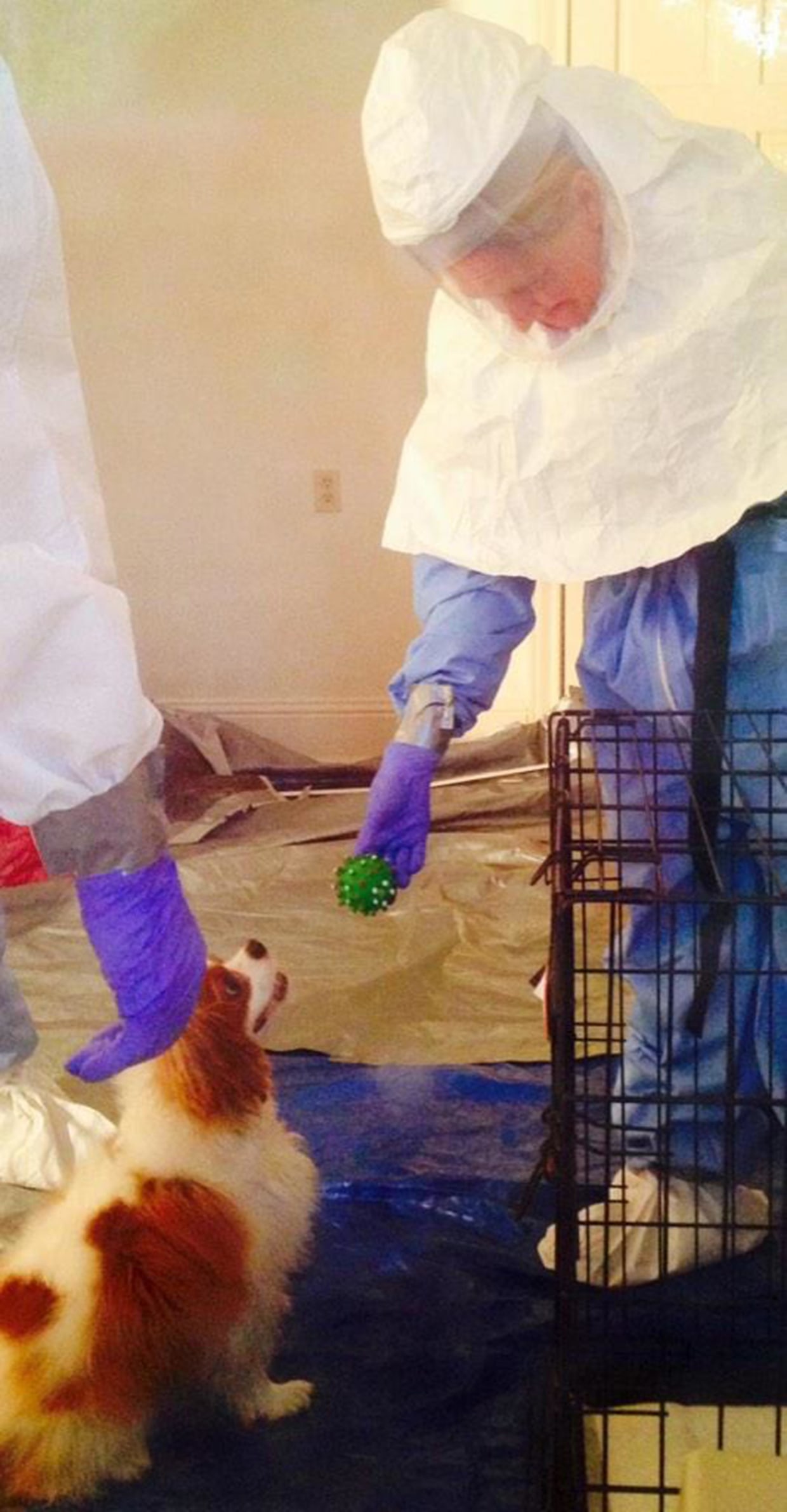 The dog belonging to Nina Pham, the Dallas nurse who contracted Ebola after treating Thomas Eric Duncan, has shown an upbeat and positive attitude during his quarantine.