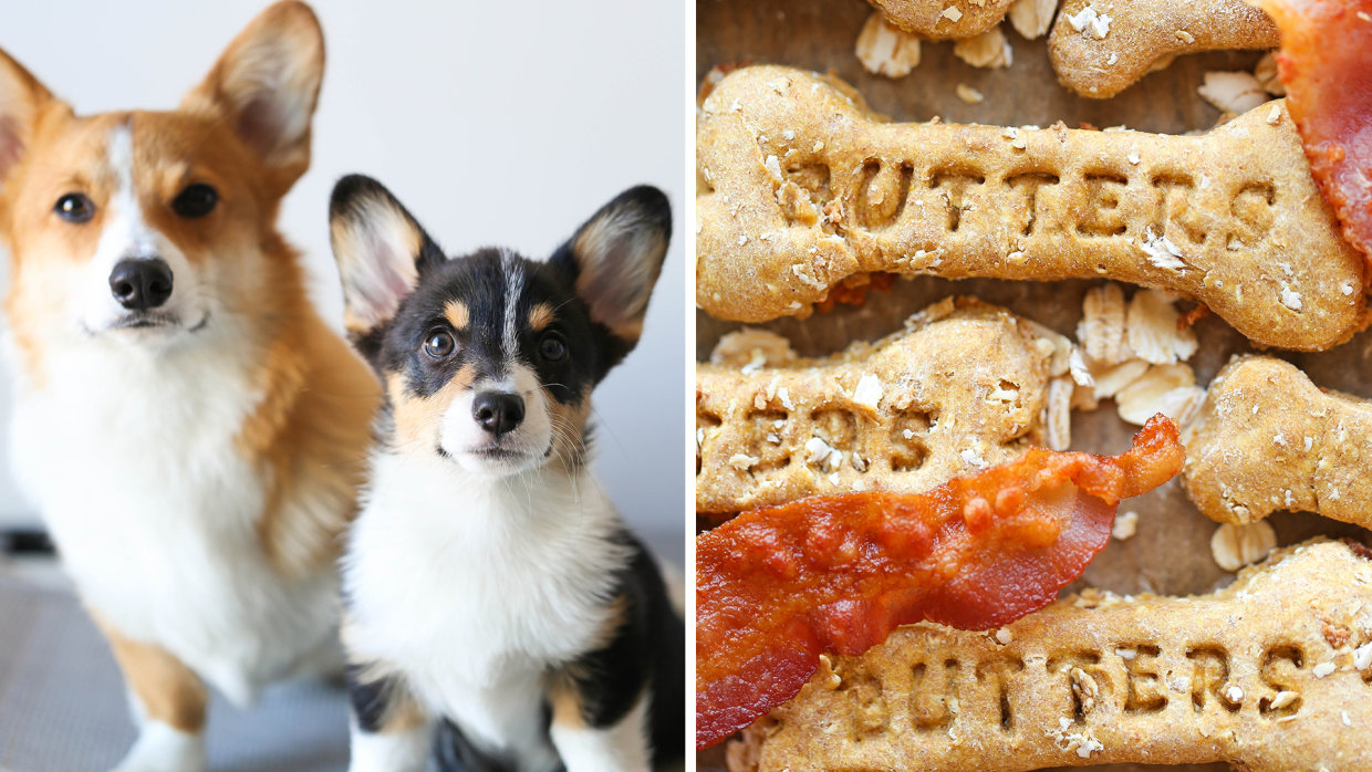 Bacon Dog Treats recipe