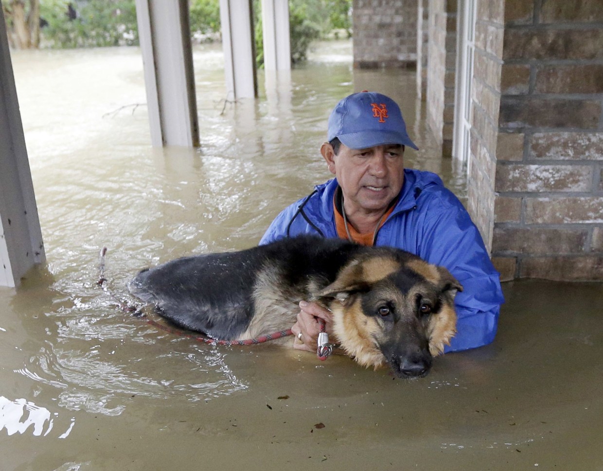 Animal Lovers, Shelters Scramble to Save Pets in Wake of Harvey
