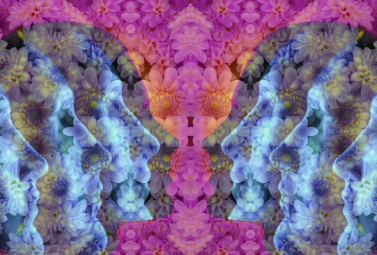 Will Psychedelic Therapy Transform Mental Health Care