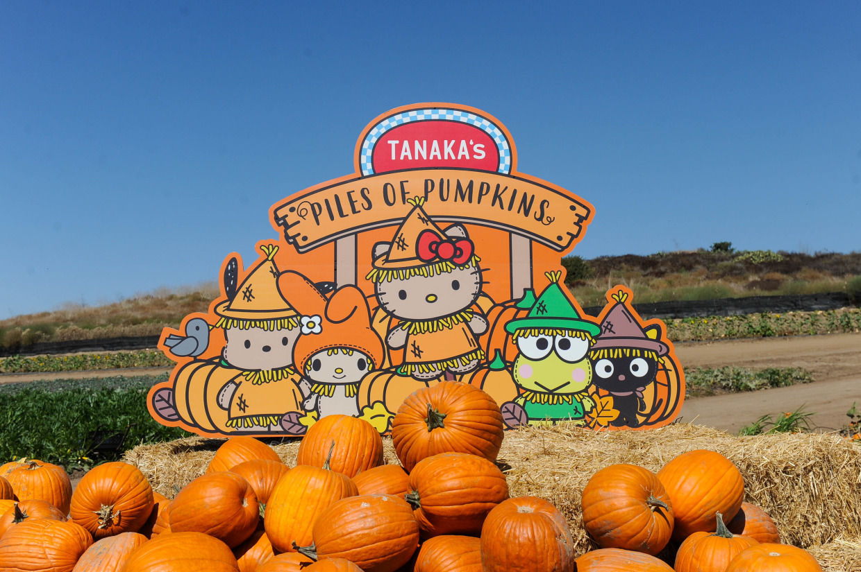 Tanaka Farm x Hello Kitty collab pin store PUMPKIN PATCH