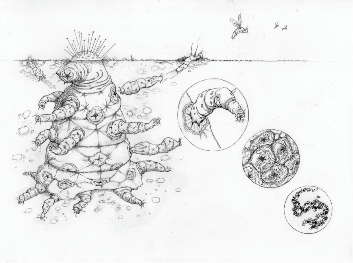 Here's What E.T. Could Actually Look Like