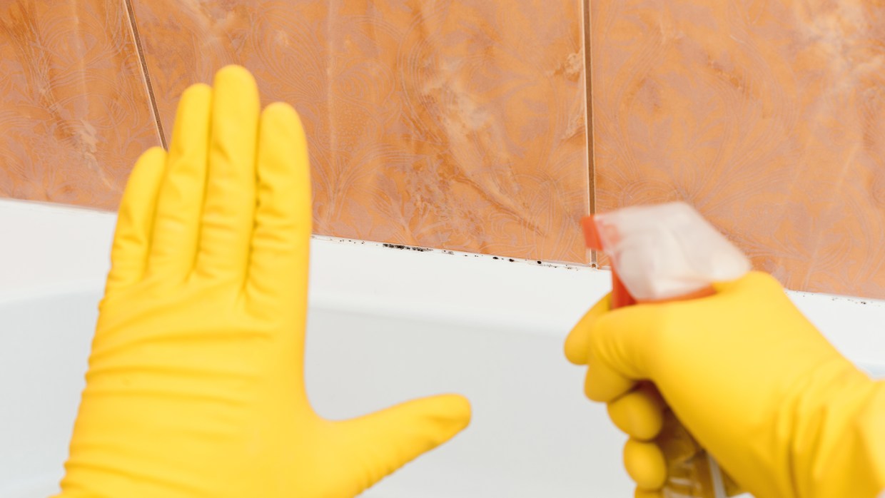 How to remove mold and mildew from walls, clothes and more