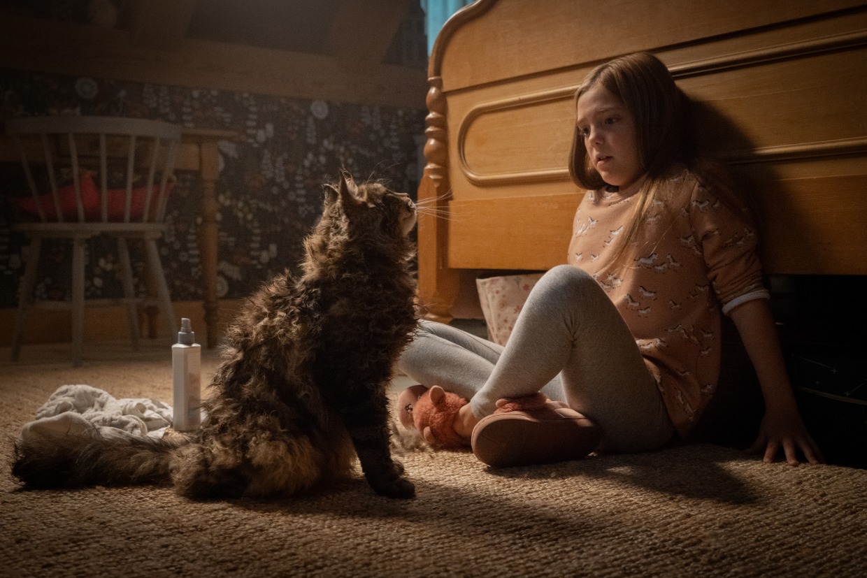 Pet sematary 2019 hot sale watch online reddit