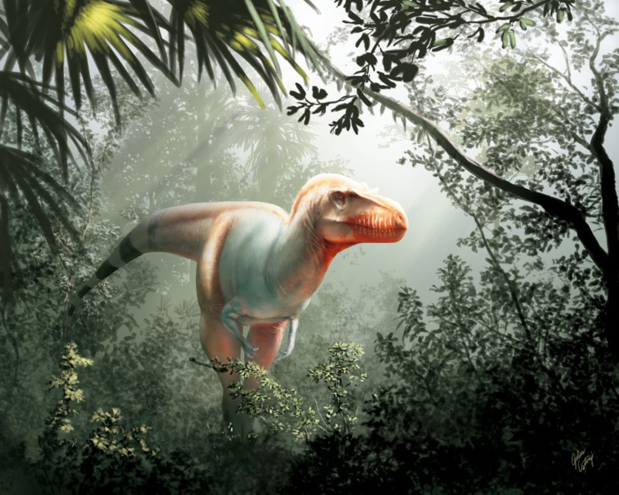 Teen Dinosaurs: T. Rex's Awkward Phase Helped It Hunt - The Atlantic