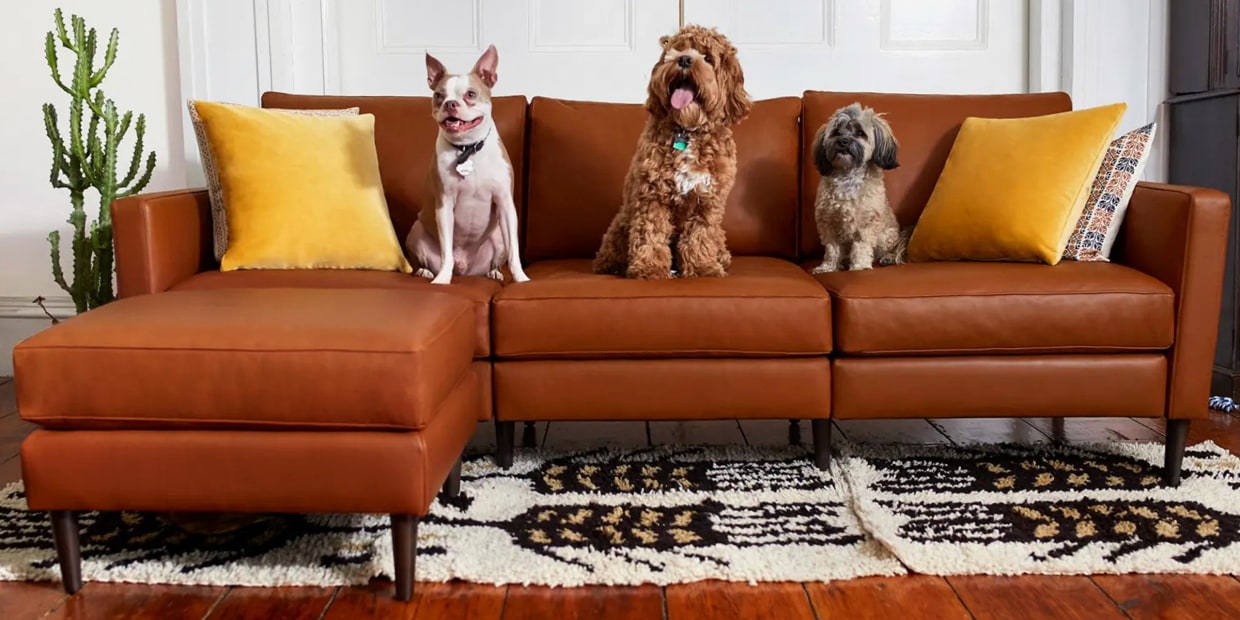 Custom Couch Fits The Whole Family, Sectional Or Sofa With Ottoman Reddit