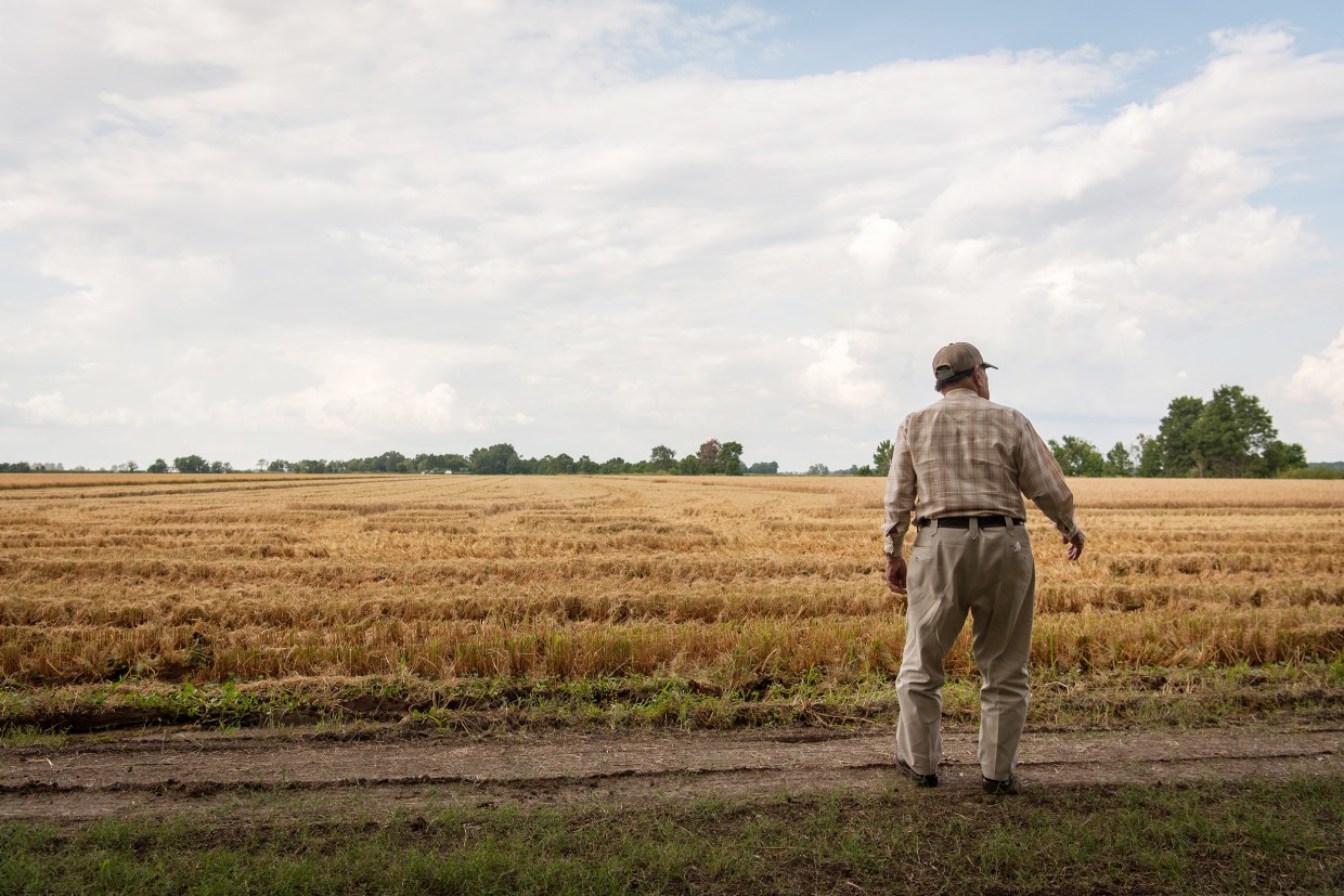 Farmers flourish under Biden, see recovery from Trump-era trade wars (nbcnews.com)