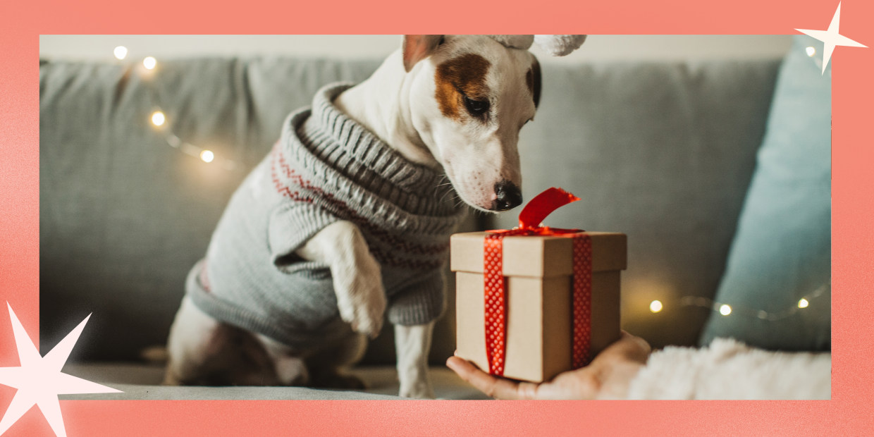 gifts for cat and dog lovers