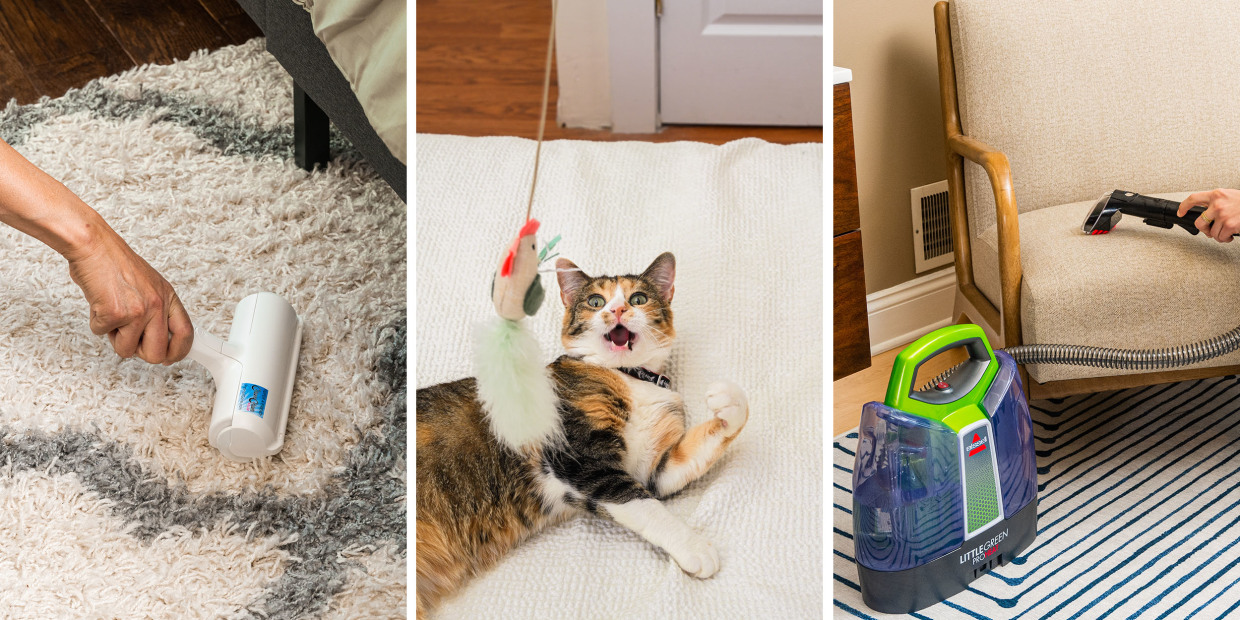 12 best pet hair removers, according to experts