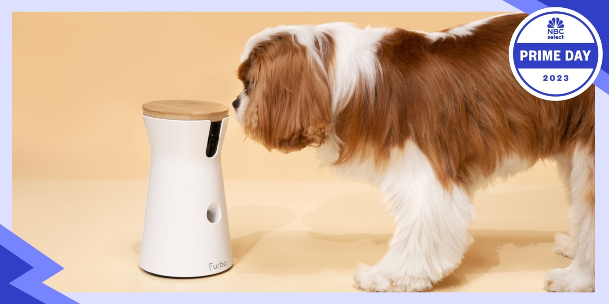 Best Dog Camera Treat Dispenser  Top-Rated Treat Tossing Dog Cameras