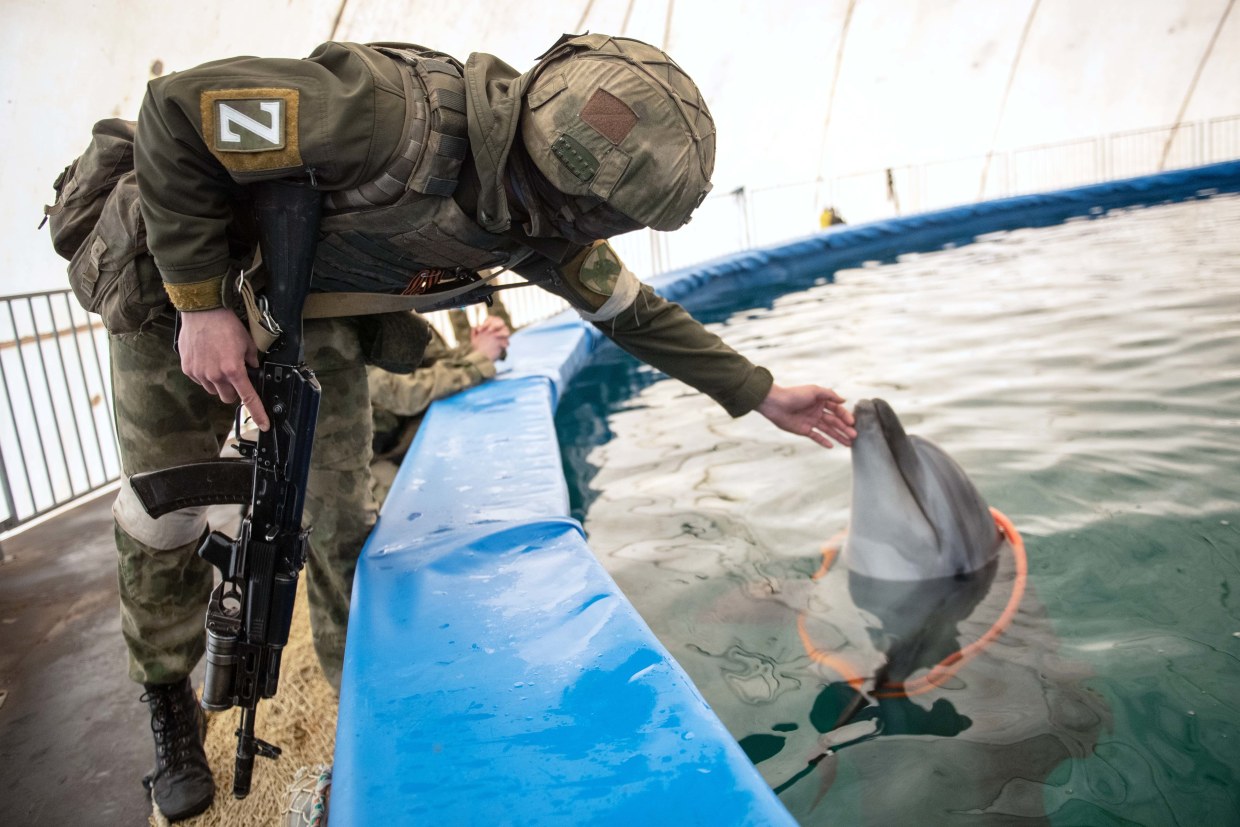 Ukraine says military dolphins captured by Russia went on hunger strike, Dolphins