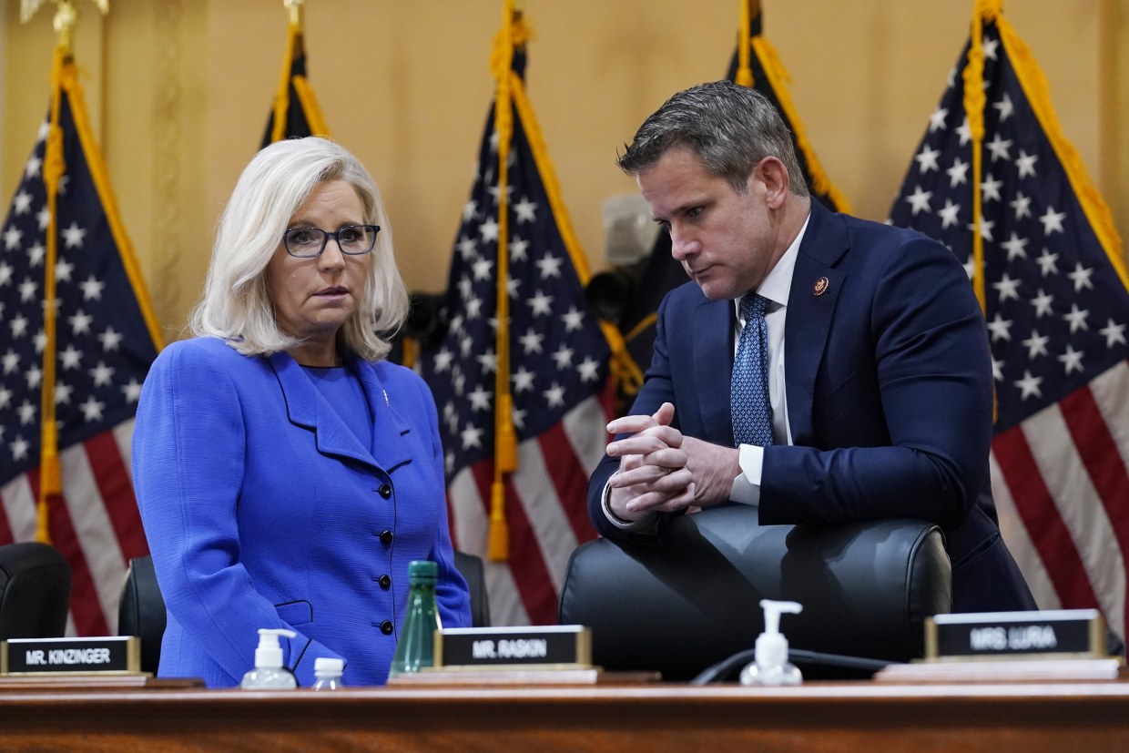 Liz Cheney and Adam Kinzinger