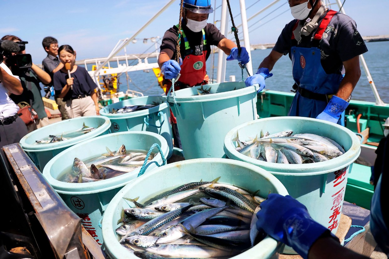 Micro Fishing China Trade,Buy China Direct From Micro Fishing Factories at