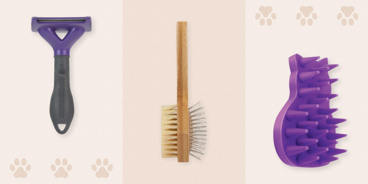 10 best cat brushes of 2024 according to experts