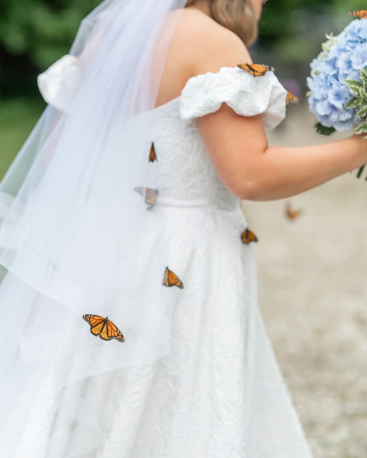 Butterflies on a wedding dress