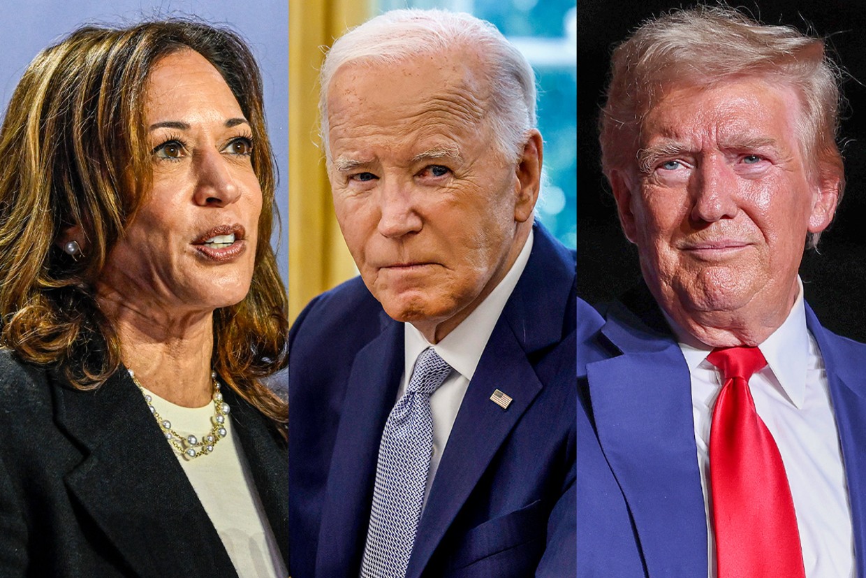 Inside the poll numbers: Which key groups have moved — and which ones  haven't — since Biden's exit