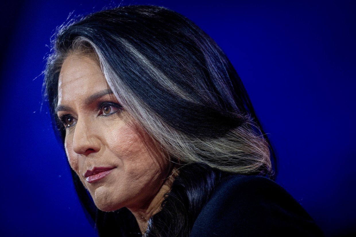 Tulsi Gabbard Faces Scrutiny Over Intelligence Nomination and Past Controversies
