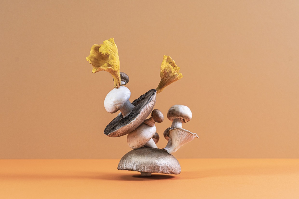 Functional mushrooms