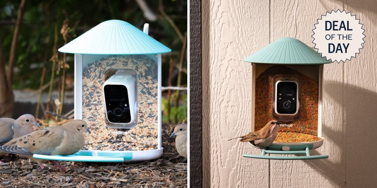 Birdfy Smart Bird Feeder is 40% Off: Deal of the Day