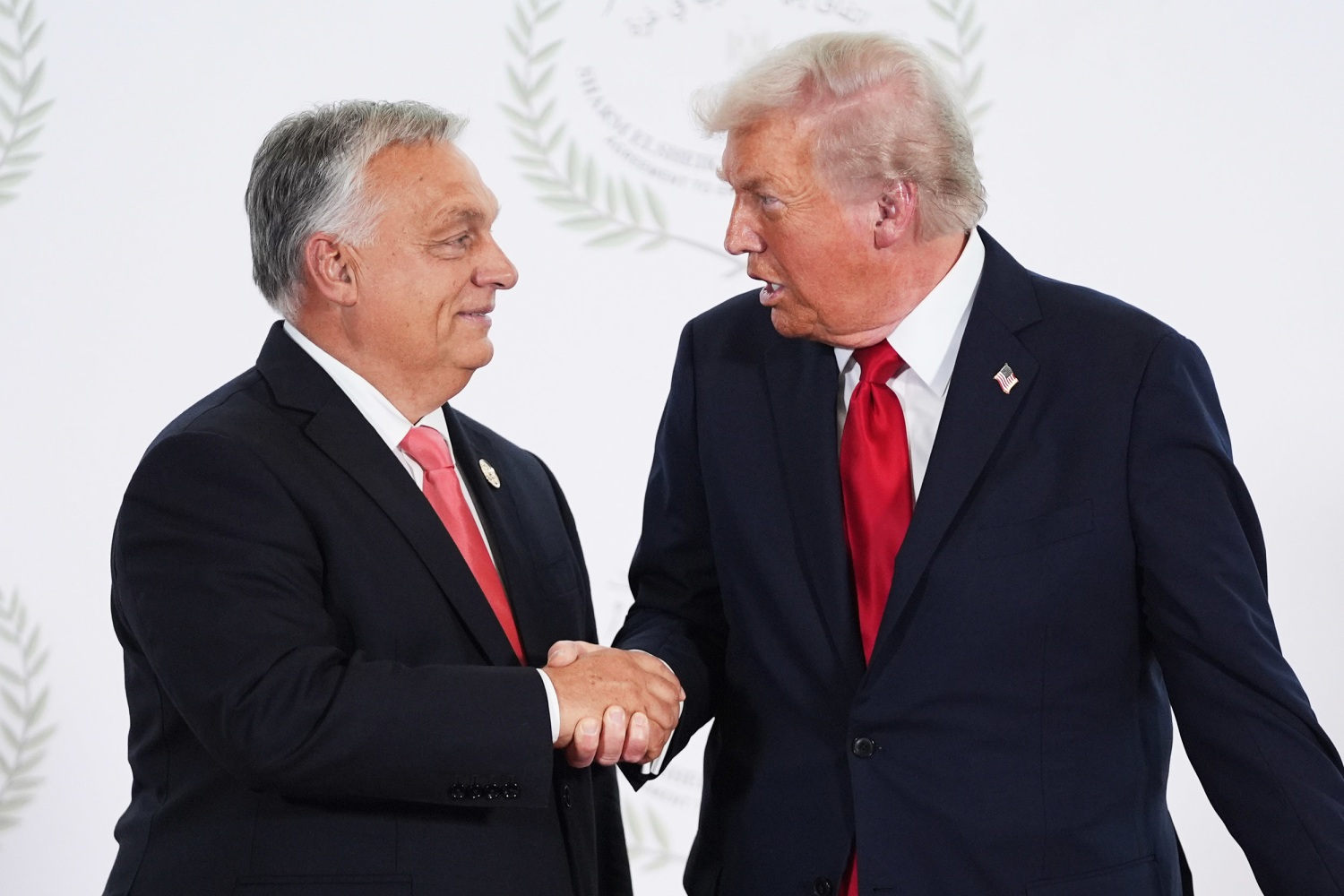 https://media-cldnry.s-nbcnews.com/image/upload/t_fit-1500w%2Cf_auto%2Cq_auto%3Abest/rockcms/2025-10/251017-orban-trump-rs-7eab92.jpg