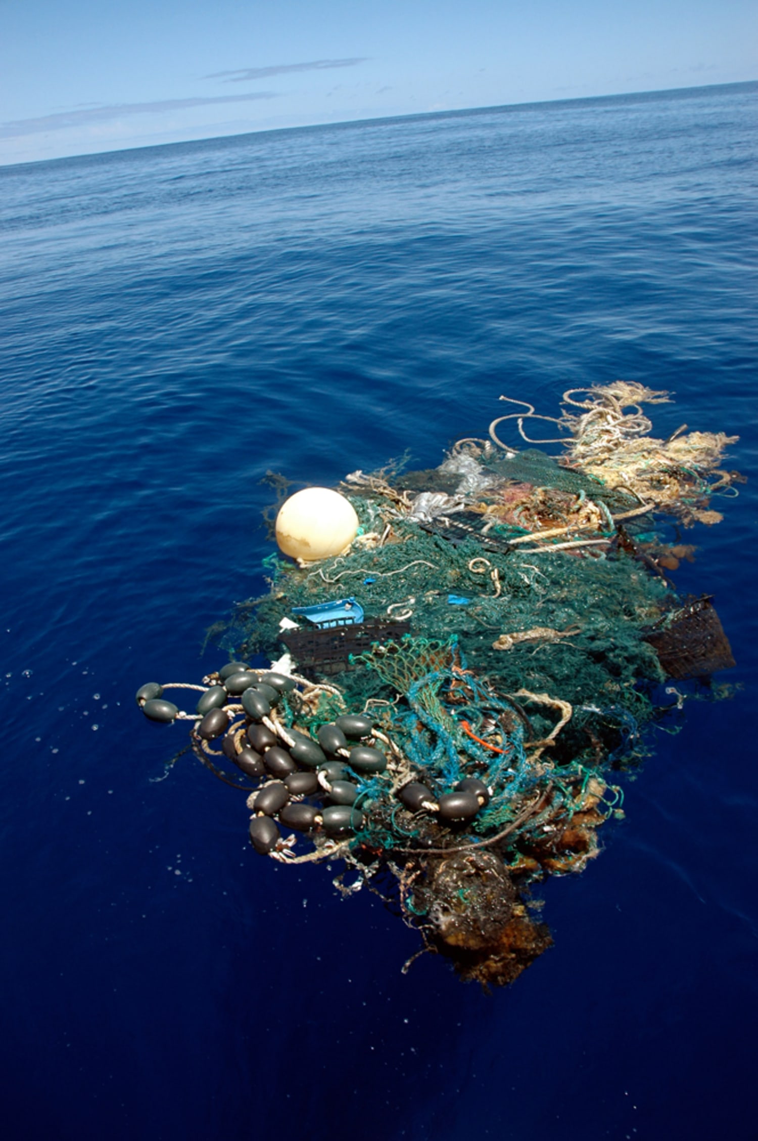 Pensato Monografia Piuttosto plastic garbage island in pacific ocean ...