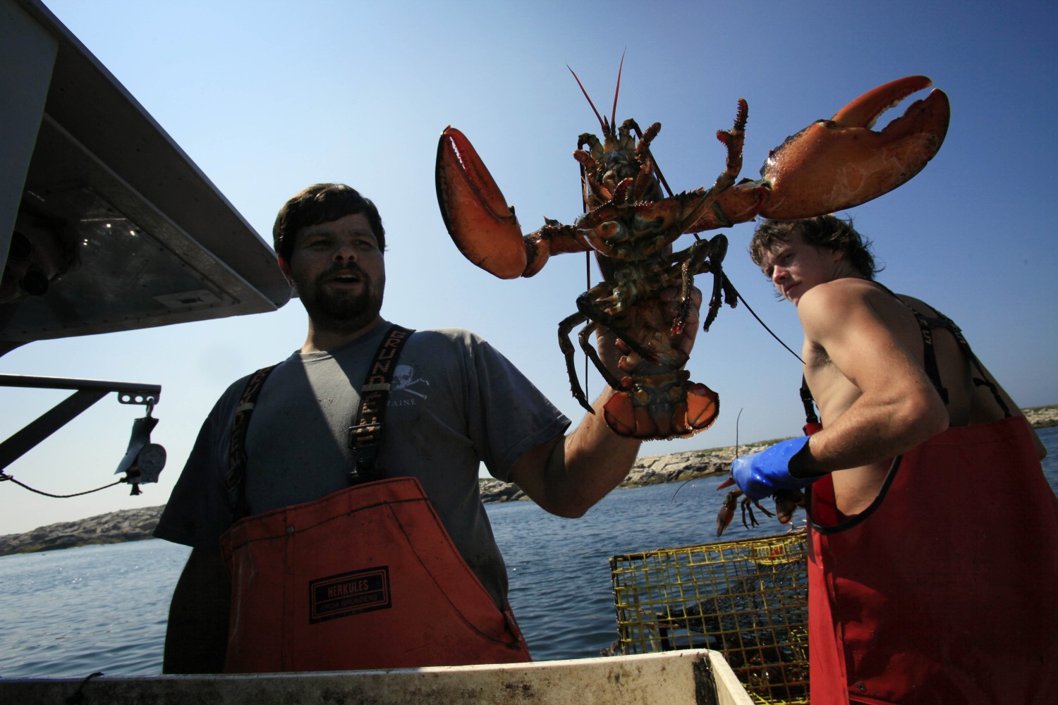 Lobster wars rock isolated Maine island