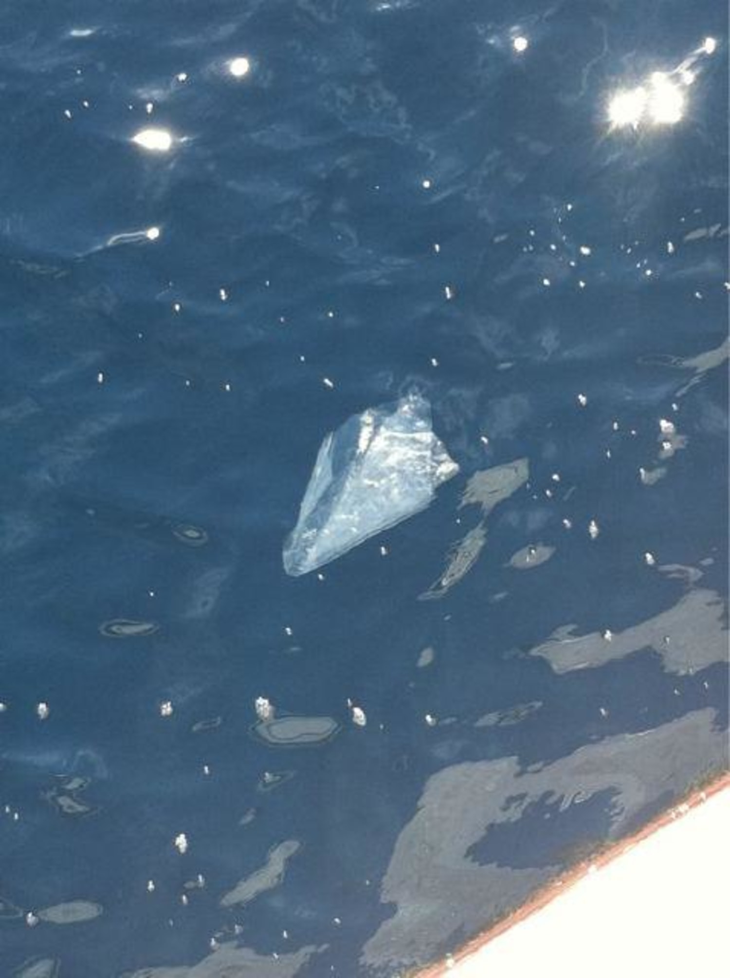 Plastic bag found floating near Titanic shipwreck