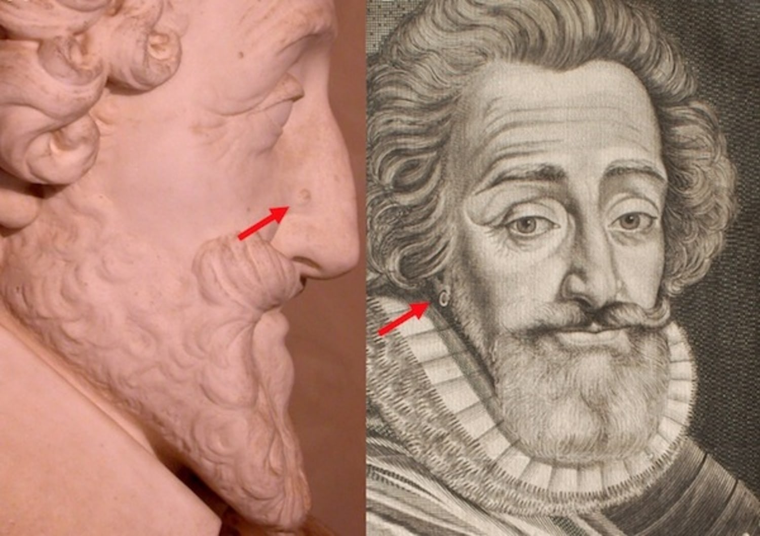 Scientists identify head of France's King Henry IV