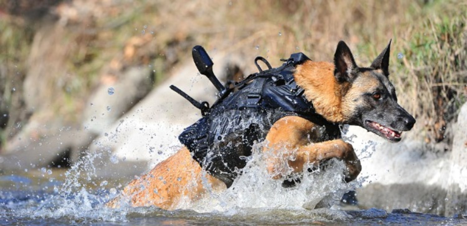 Dog Handler Vest K9 Handler Vest Dog Training Vest Canine Trainer Vest for  Dog Handlers. 