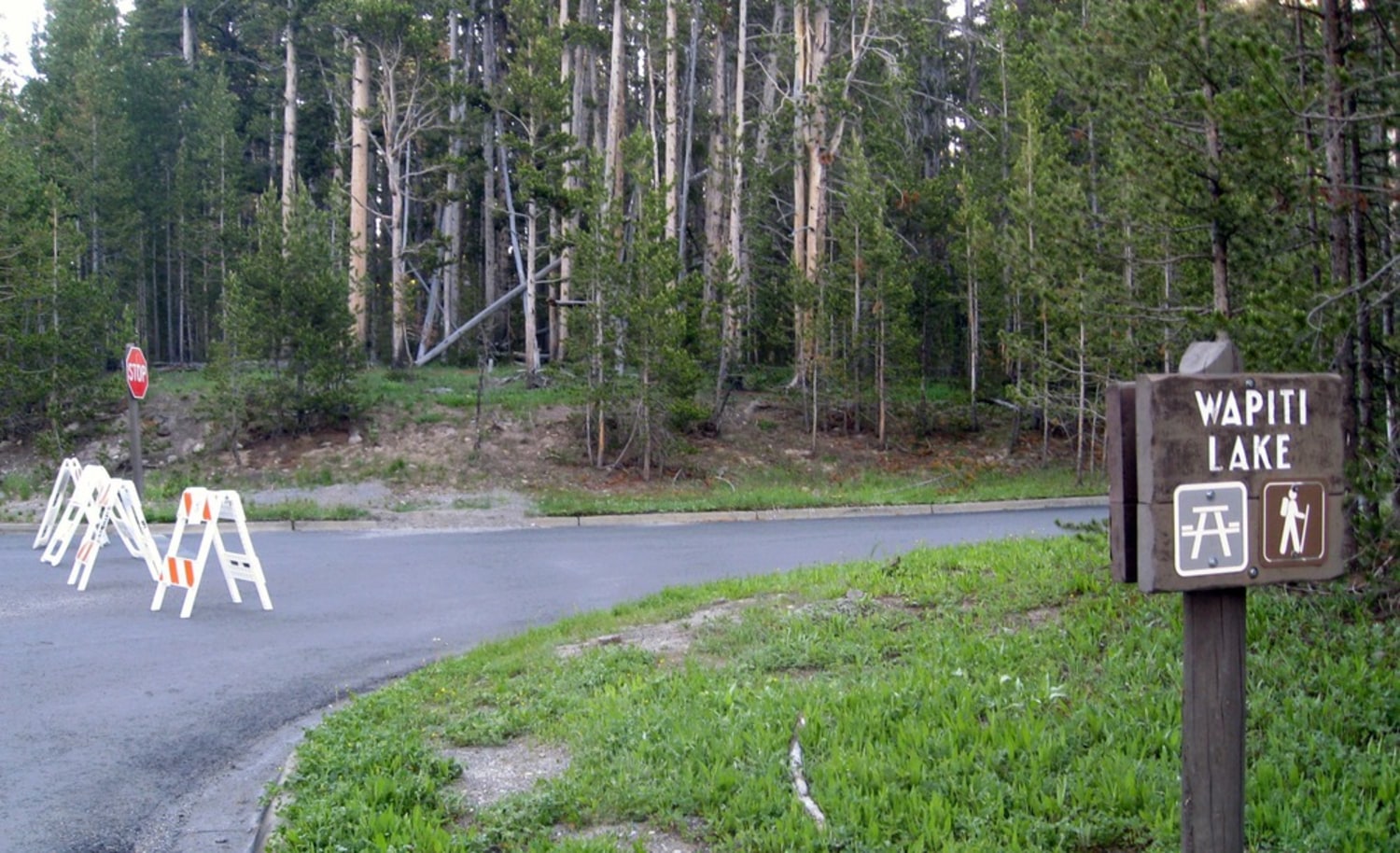 Wapiti lake trail yellowstone cheap